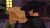 zorro: the chronicles billede nr 0
